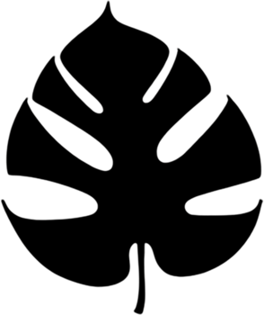 Minimalist Black Leaf Clipart for Branding Ideas. . png