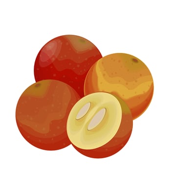 Illustration Logo Clip art Camu Camu Berry Isolated vector