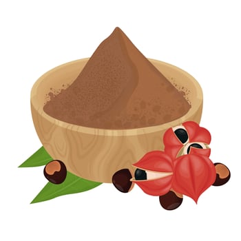 Illustration Logo Clipart Superfood Guarana fruits with Guarana Powder on a Wooden Bowl vector