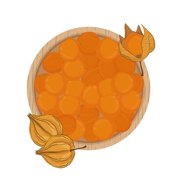 Illustration Logo Clipart Top View Superfood Physalis vector