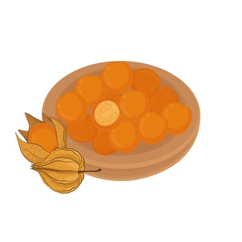 Illustration Logo Clipart Superfood Physalis Peruviana or Ceplukan Cecendet fruits vector