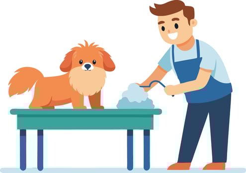 A Cheerful Dog Groomer Washes a Furry Dog vector