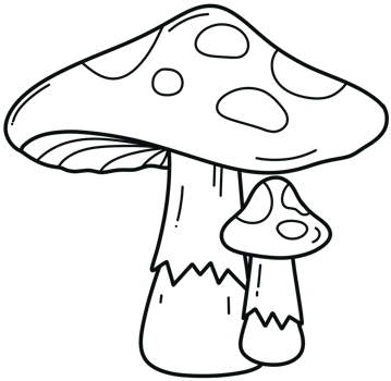 mushrooms doodle line in Fall illustration by hand drawn png