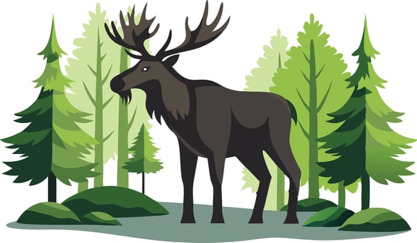 Majestic Moose Standing Among Lush Green Pines vector
