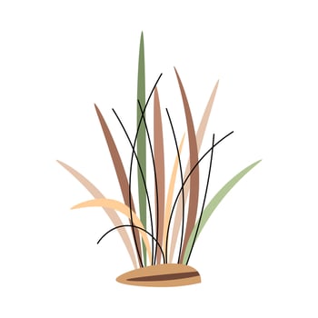 Dry grass bush on white background. Plant of sandy desert, savanna. African plant illustration vector