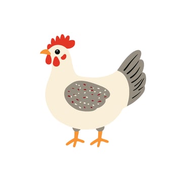 A cartoon chicken standing on a white background vector