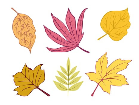 Set of autumn fallen yellow leaves. Leaf fall. Illustration on a white background. vector