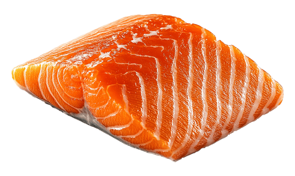 Salmon slice, transparent background png