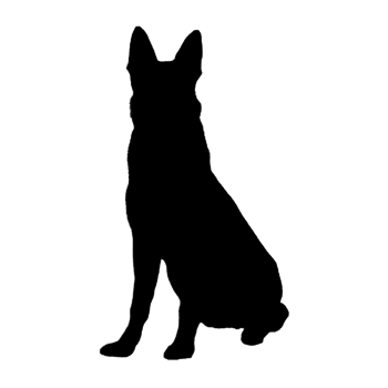 Dog Illustration - Dog Drawing - Dog Icon png