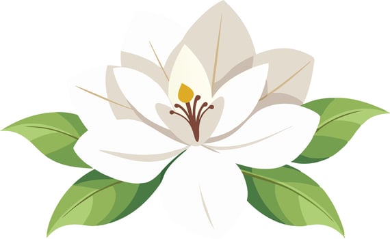 Elegant illustration of a white magnolia flower with green leaves vector