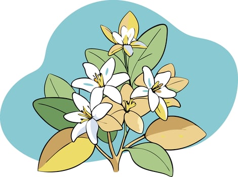 illustration of blooming flowers with green leaves vector