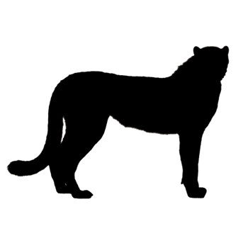 Cheetah Drawing - Cheetah Silhouette - Cheetah Illustration png