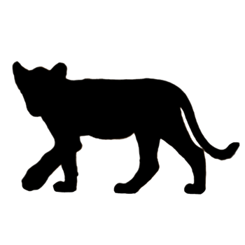 Baby Lion Illustration - Cute Lion Drawing - Lion Icon png