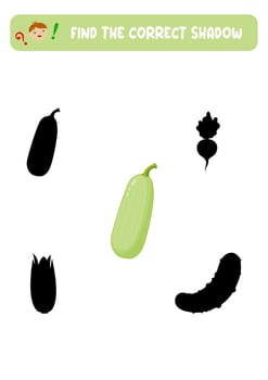 Find the correct shadow. Vegetarian Courgette. Teaching children. vector