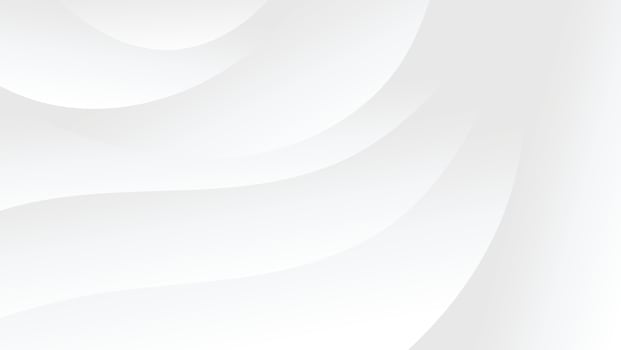 abstract white background with gradient color and artistic line decoration vector