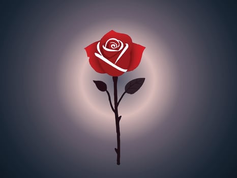 red rose on black background vector