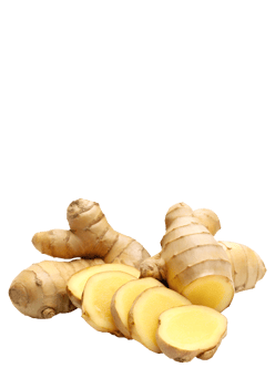 Sliced ginger and whole ginger root on an isolated background png