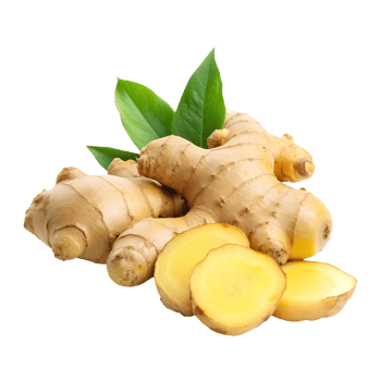 Ginger slices and whole ginger root on an isolated background png