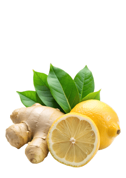 Bright lemon slices and aromatic ginger on an isolated background png