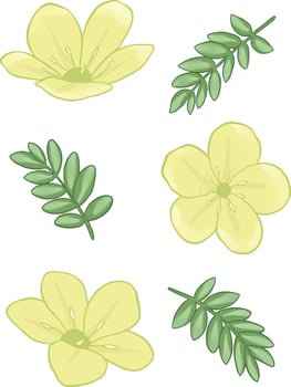 embroidery yellow wild flower botanical illustration vector