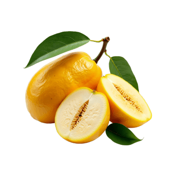 oval-shaped fruit on a transparent background png