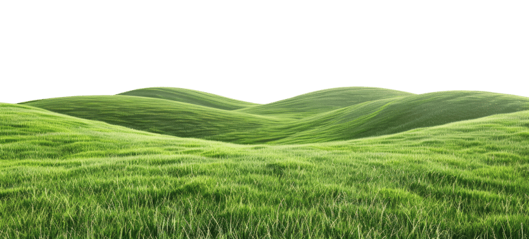 Green Grassy Field png