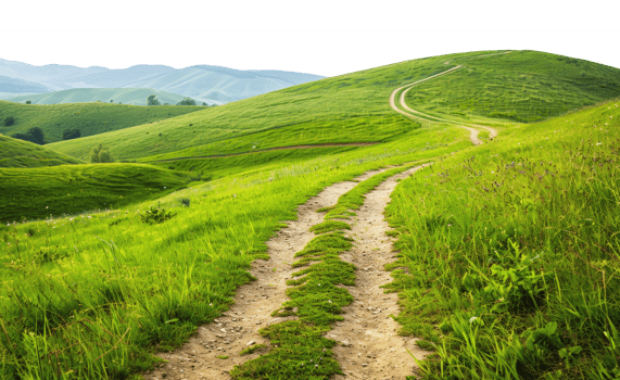 Trail in the Meadow png