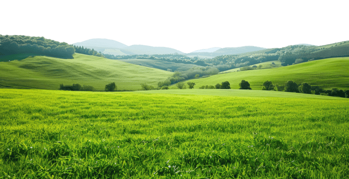 Countryside Landscape with Green Field png