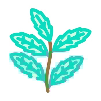 neem leaves ayurvedic herb color icon illustration vector