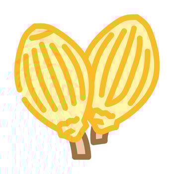 coriander seeds ayurvedic herb color icon illustration vector