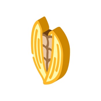 cardamom pods ayurvedic herb isometric icon illustration vector