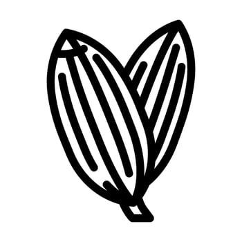 fennel seeds ayurvedic herb line icon illustration vector