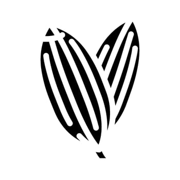 fennel seeds ayurvedic herb glyph icon illustration vector