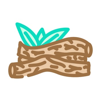 licorice root ayurvedic herb color icon illustration vector