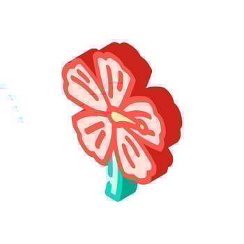 hibiscus ayurvedic herb isometric icon illustration vector