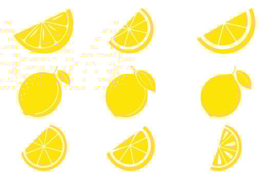 Lemon slices. fresh lemon with lice illustration. Fresh citrus, vector