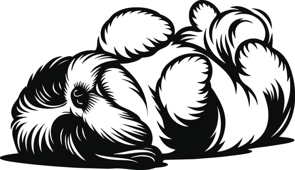 Basic Shih Tzu Form vector