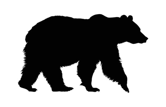 Grizzly Bear Walking Silhouette vector