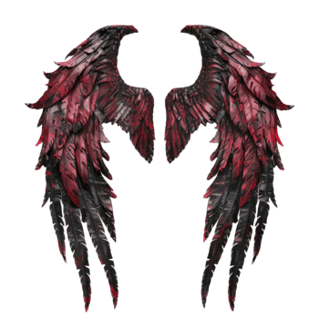 Crimson and Black Feathered Wings Against a Black Background png