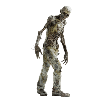 A Decaying, Flesh-Eating Zombie in Ragged Clothing png