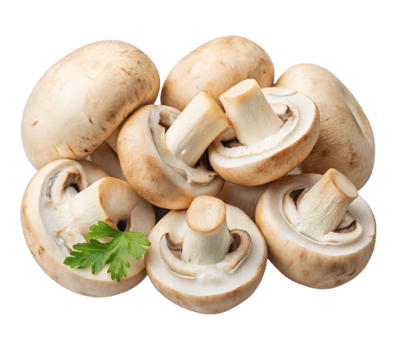cultivated champignon mushrooms png