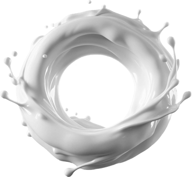 milk ring splashes. Isolated for banner ads png