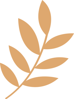 Leaves of Xmas png