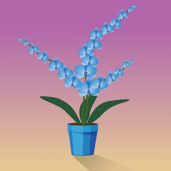A blue Orchidaceae plant in a blue pot vector