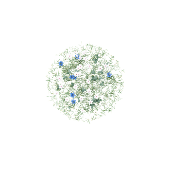 Top view of Fresh spring green grass isolated on canvas png