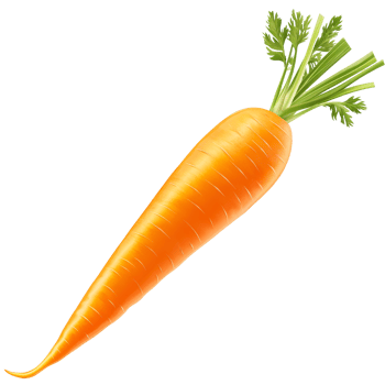 Freshly harvested carrot with green tops isolated isolated transparent png