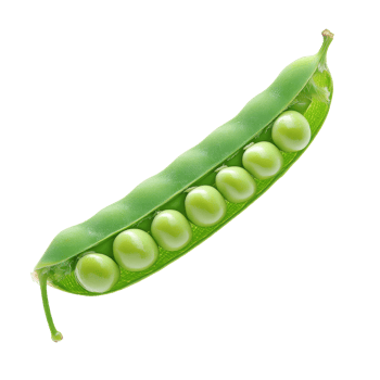 Green pea pod on white background isolated transparent png