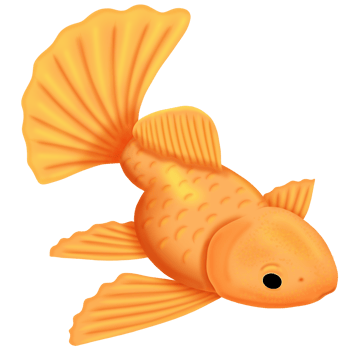 Element goldfish clipart png