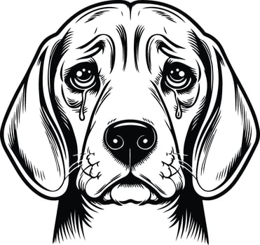 A dog's face with a sad expression vector