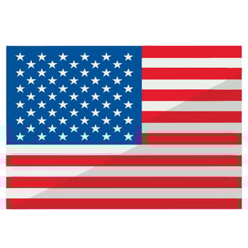 USA Flag Art Illustration vector